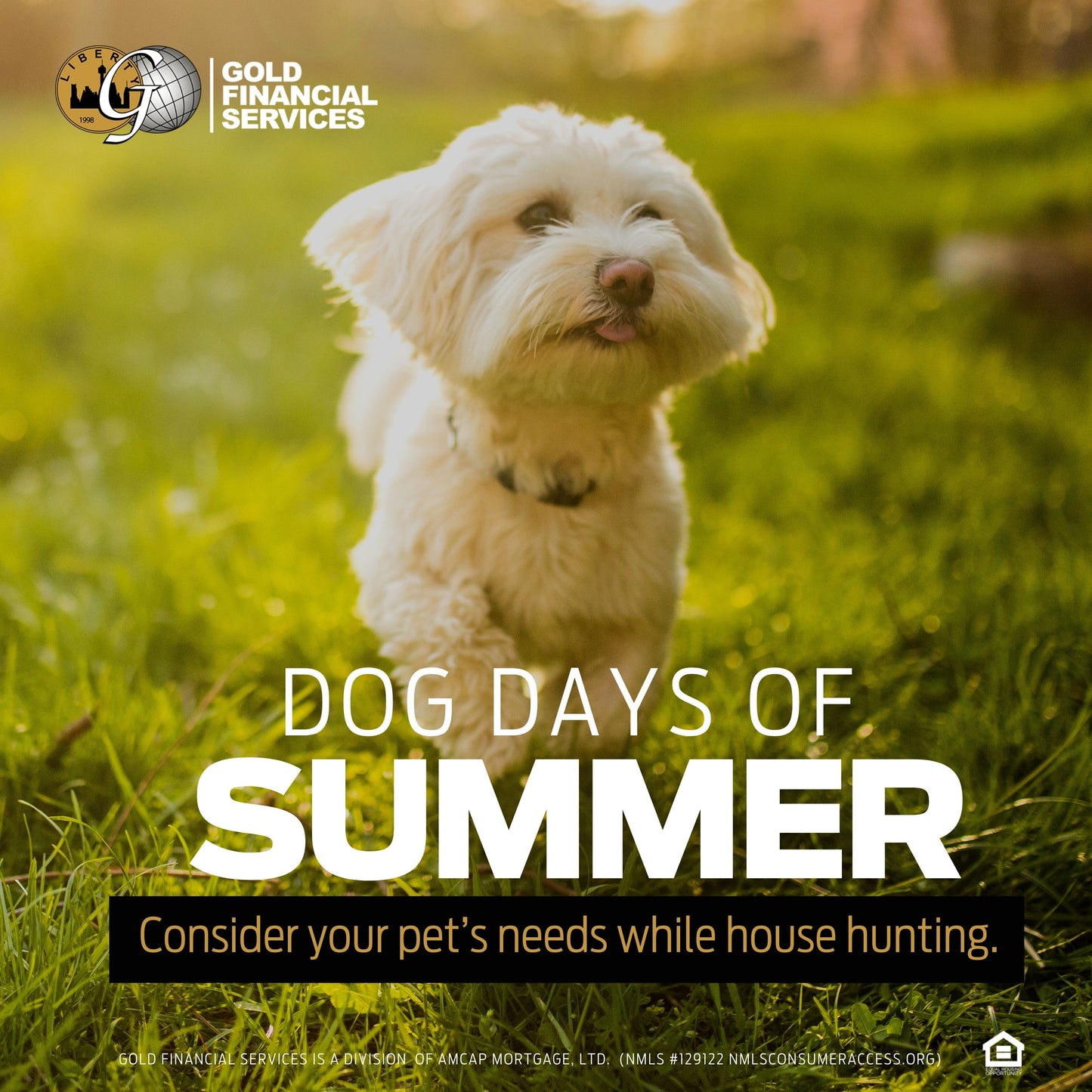 Free Social Media - Dog Days Of Summer